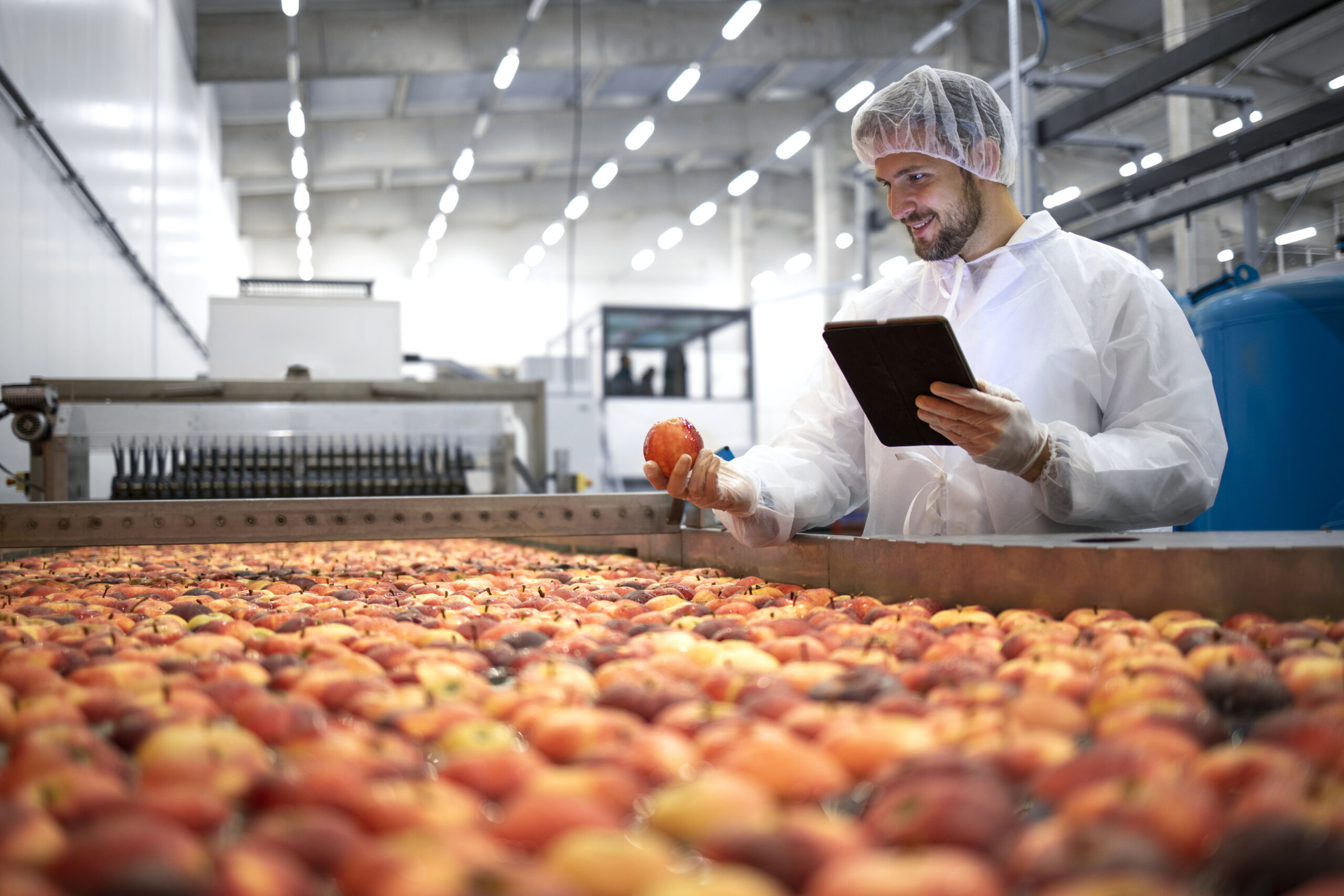 Gestão da Qualidade é o Primeiro Passo para o Crescimento Sustentável da sua Empresa
